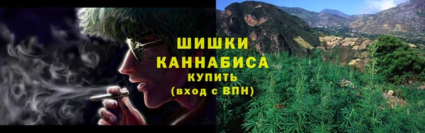 кокс Вяземский