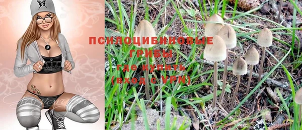 кокс Вяземский